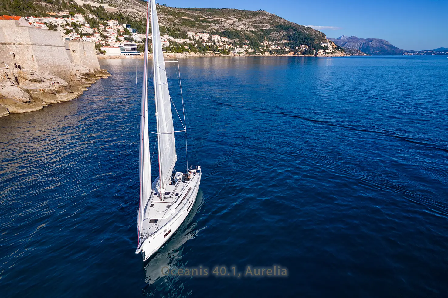 Aurelia, photograph 8