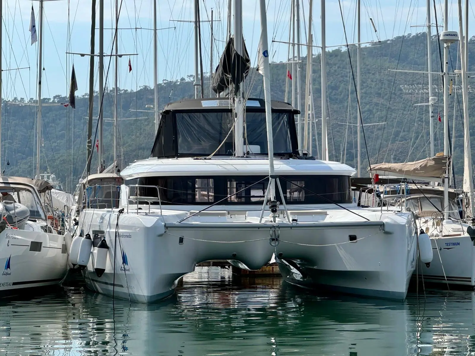Sail Andromeda, photograph 18