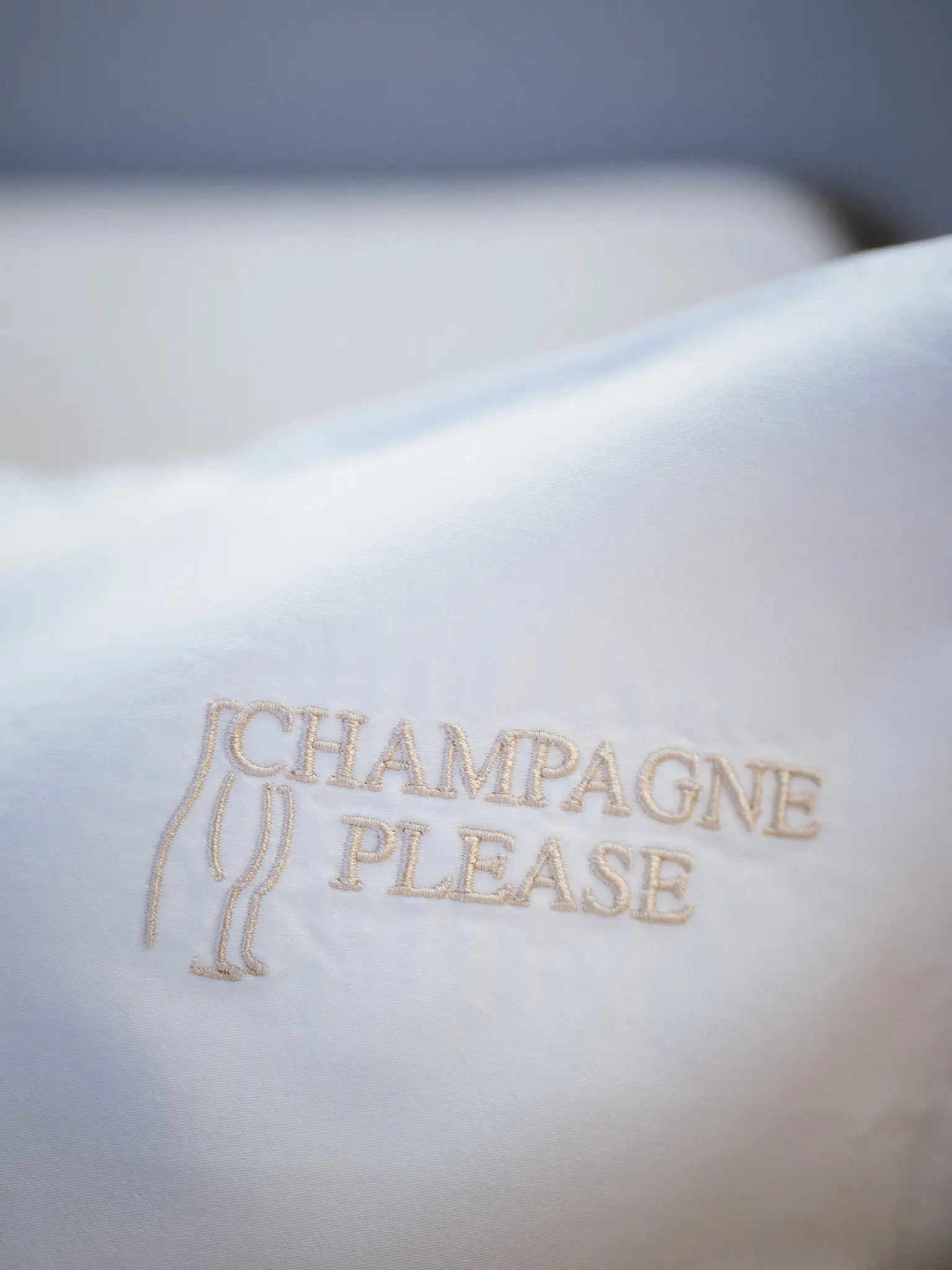CHAMPAGNE PLEASE, photograph 5