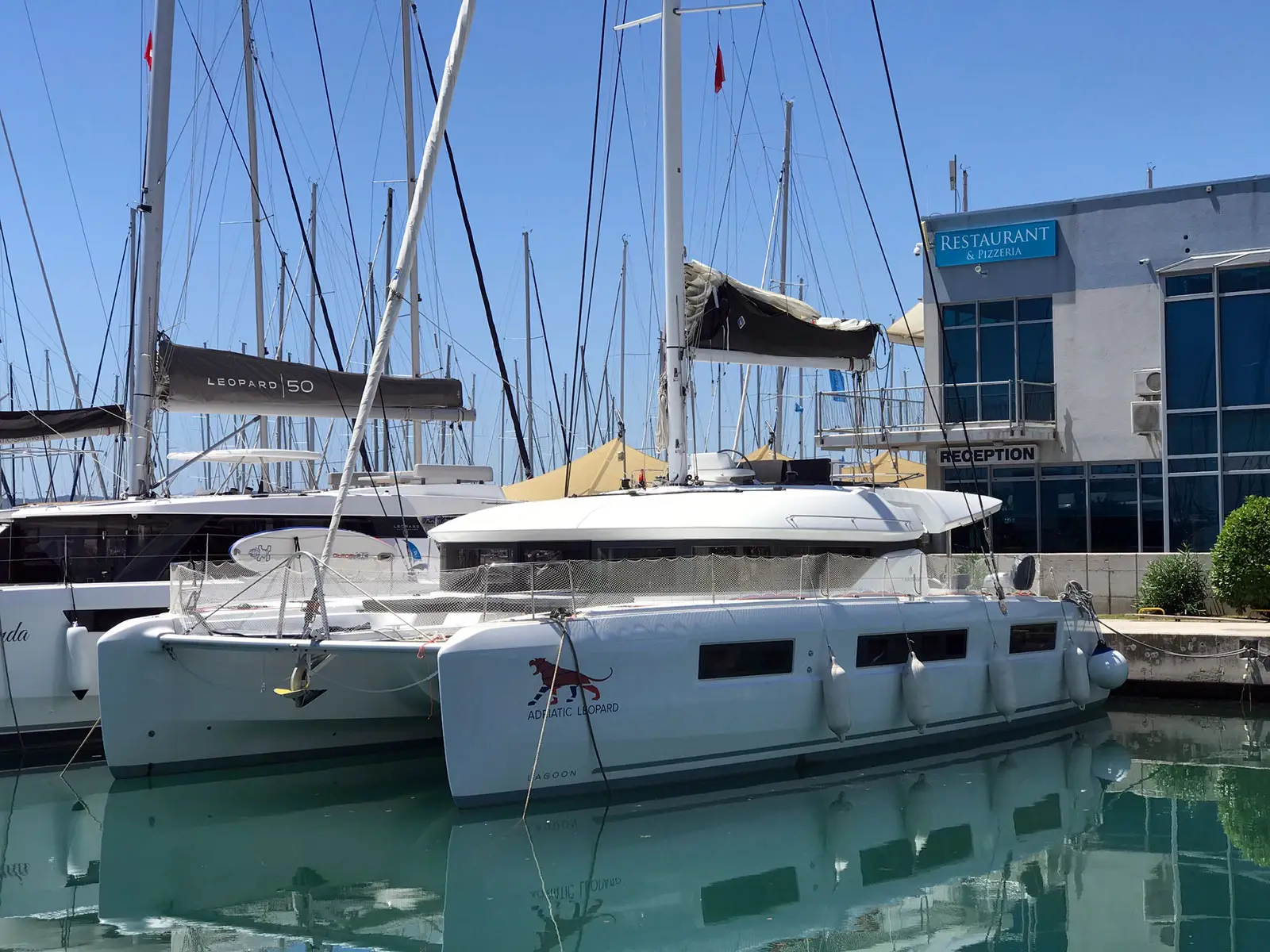 ADRIATIC LEOPARD , foto 5
