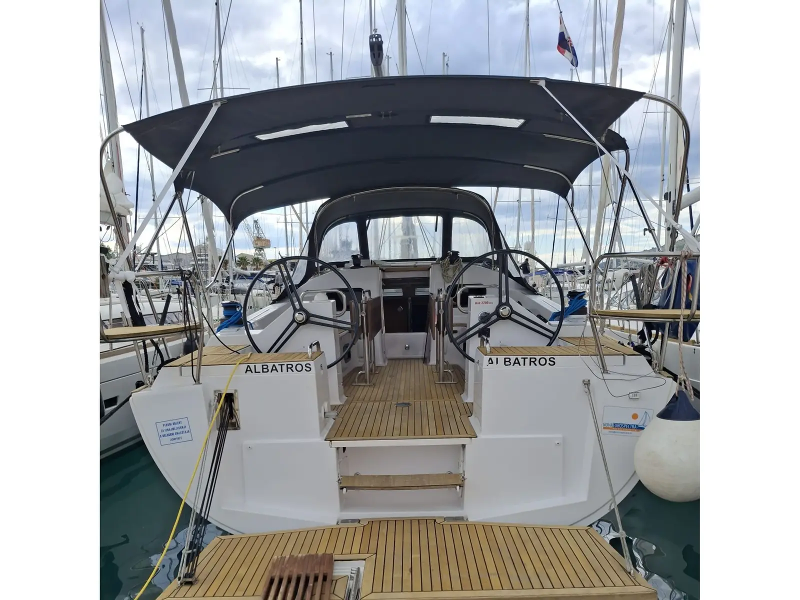 Albatros, Main image