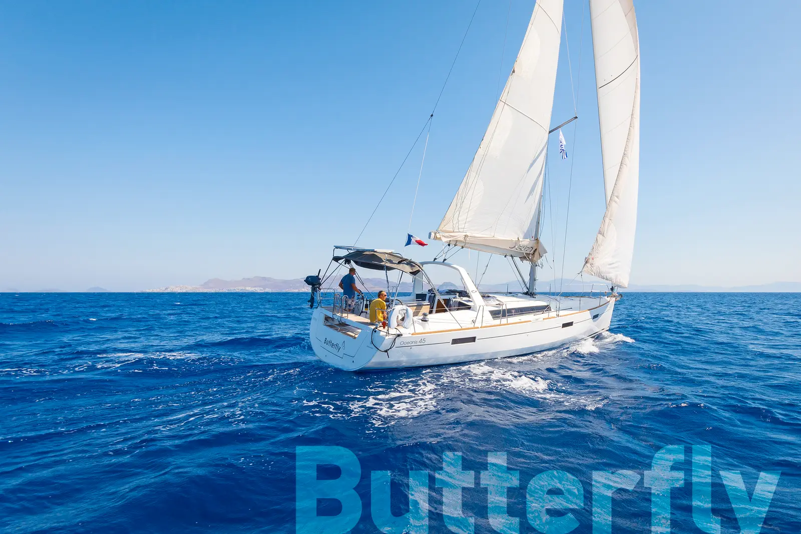 Butterfly, photograph 15