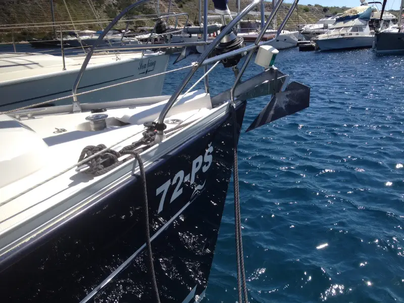 Sea Bird, photograph 6
