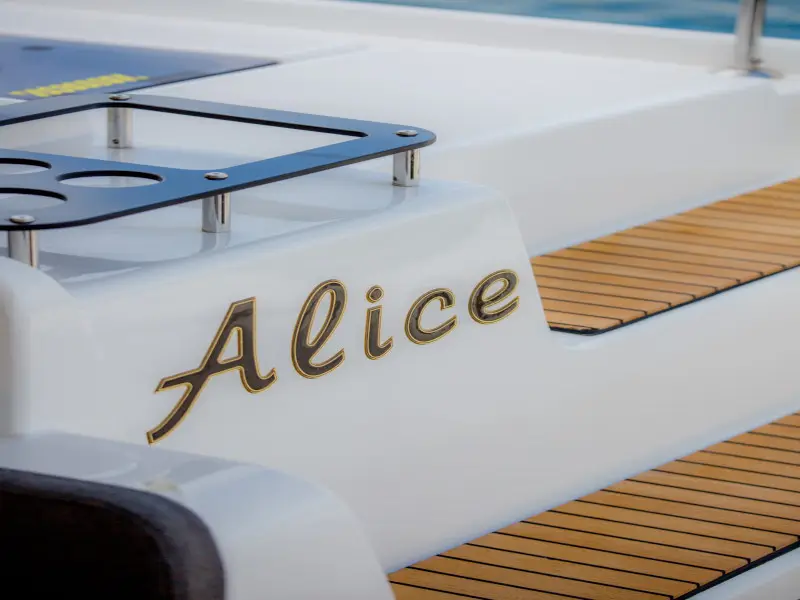 ALICE, photograph 18