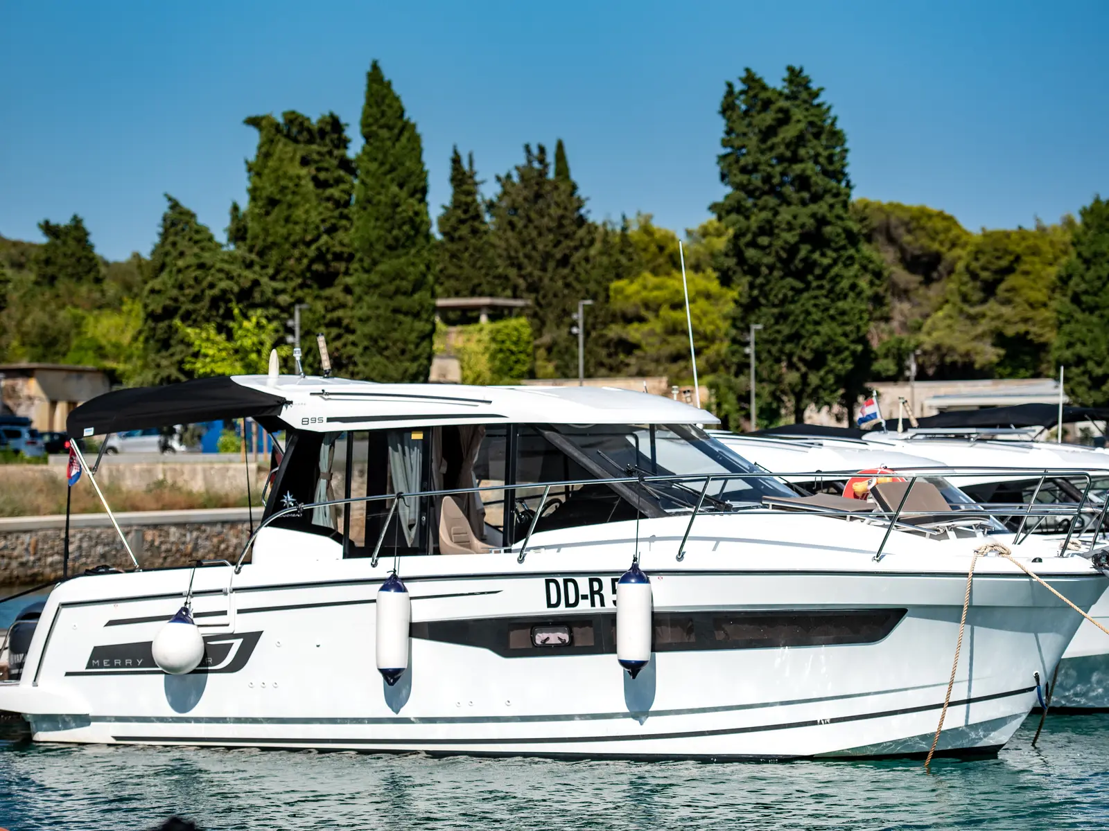 Leonie, Main image