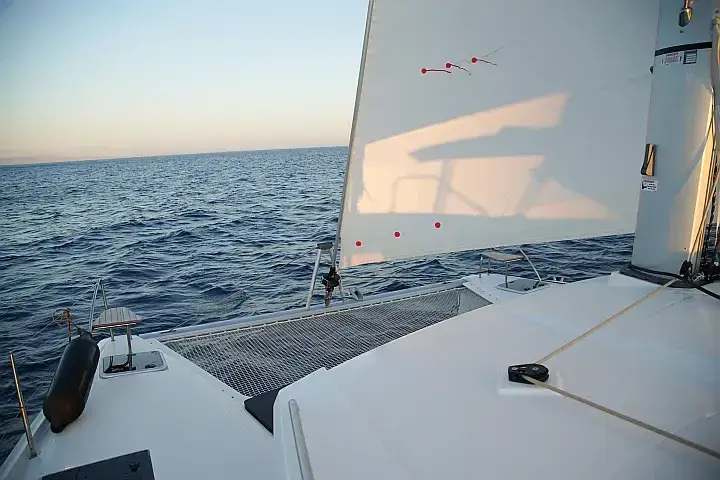 Anasa, foto 25
