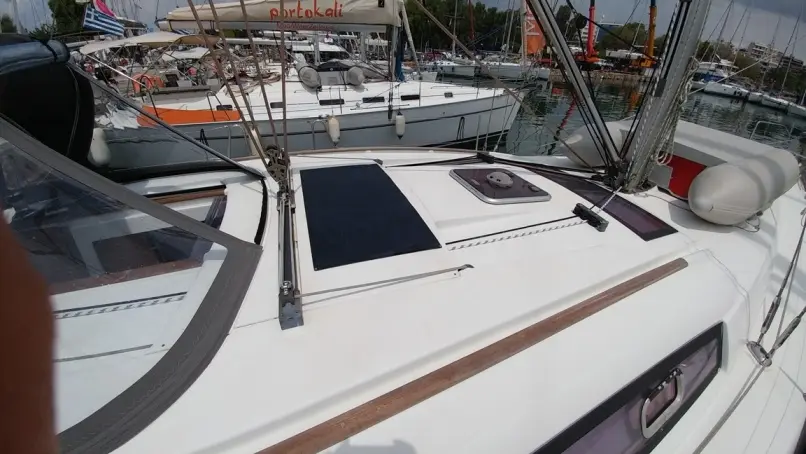 Beluga, photograph 10