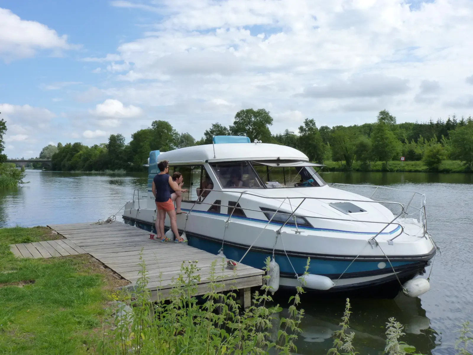 Mandoline, Main image
