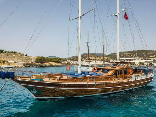 Carpe Diem XI, Main image