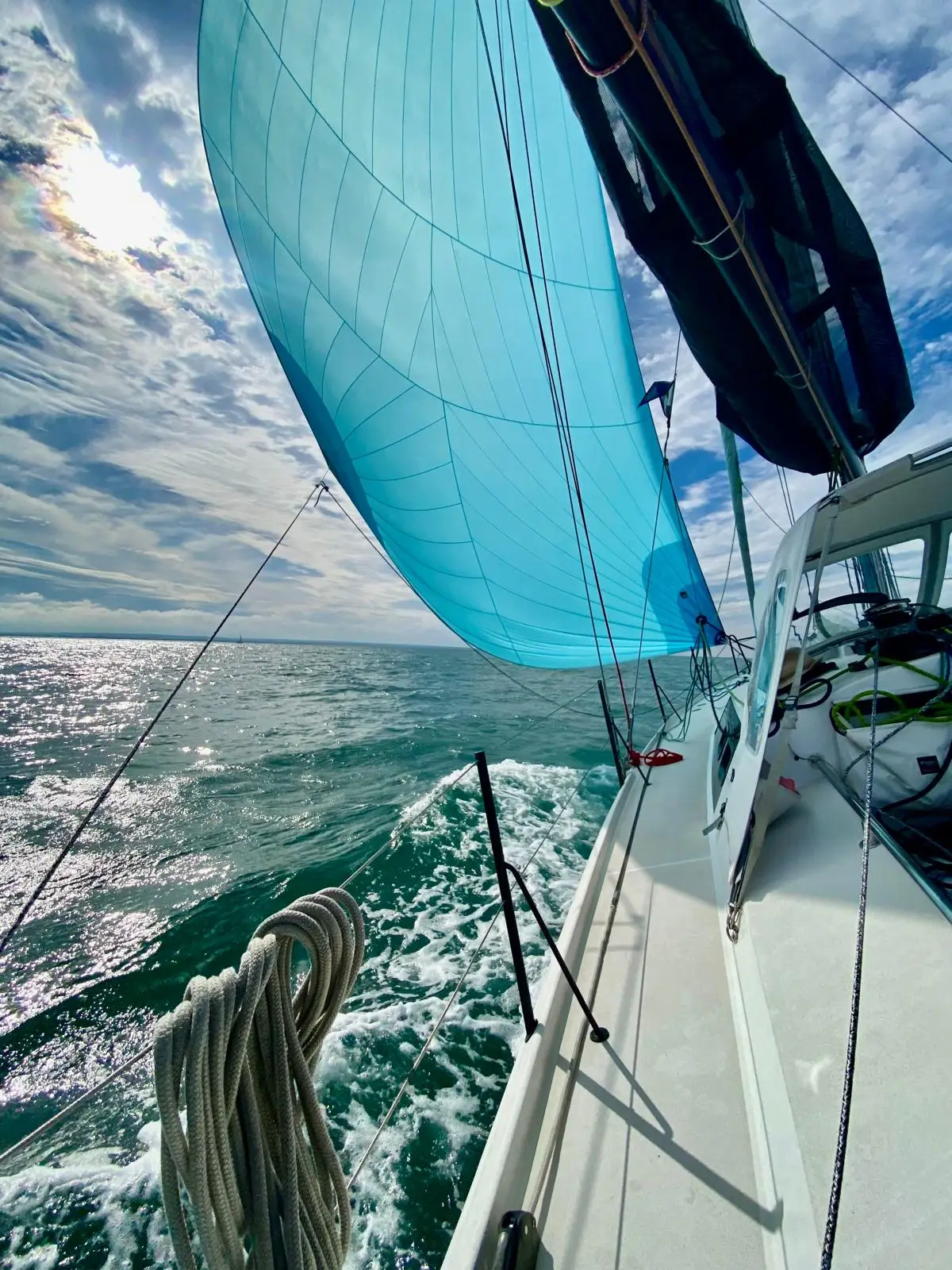 SILVER WAVE, photograph 6