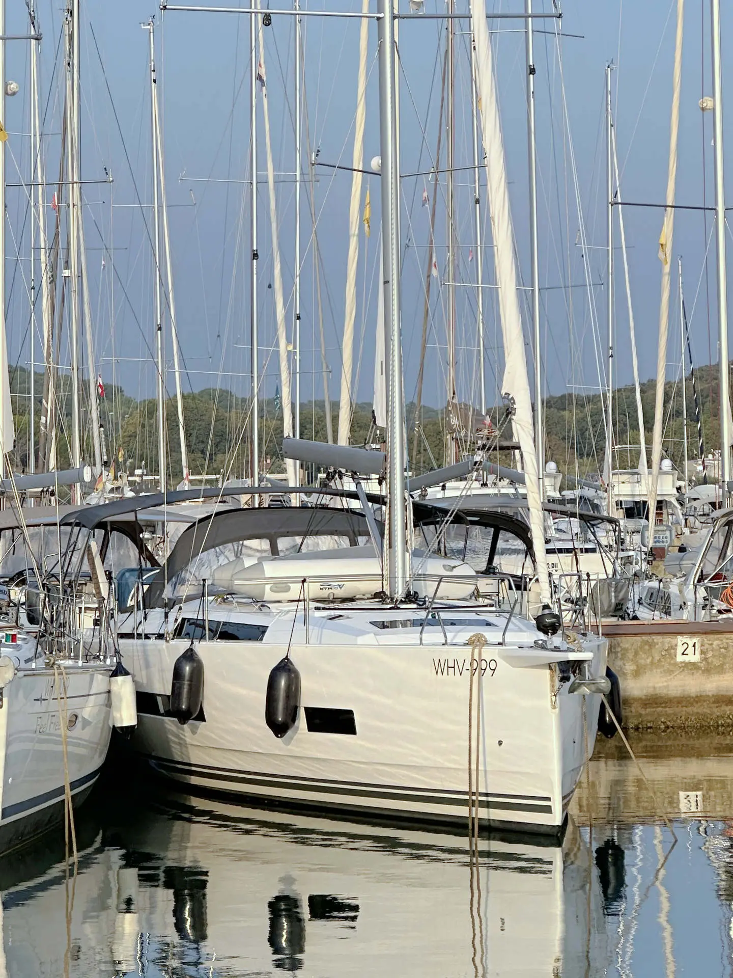 freebe, photograph 4