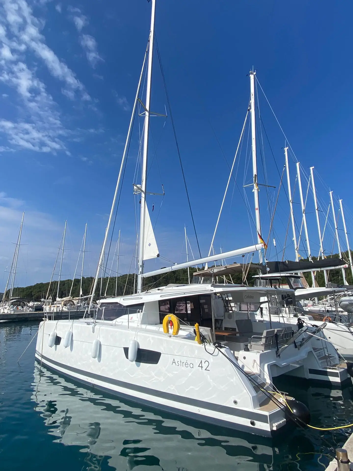 Calypso, foto 7