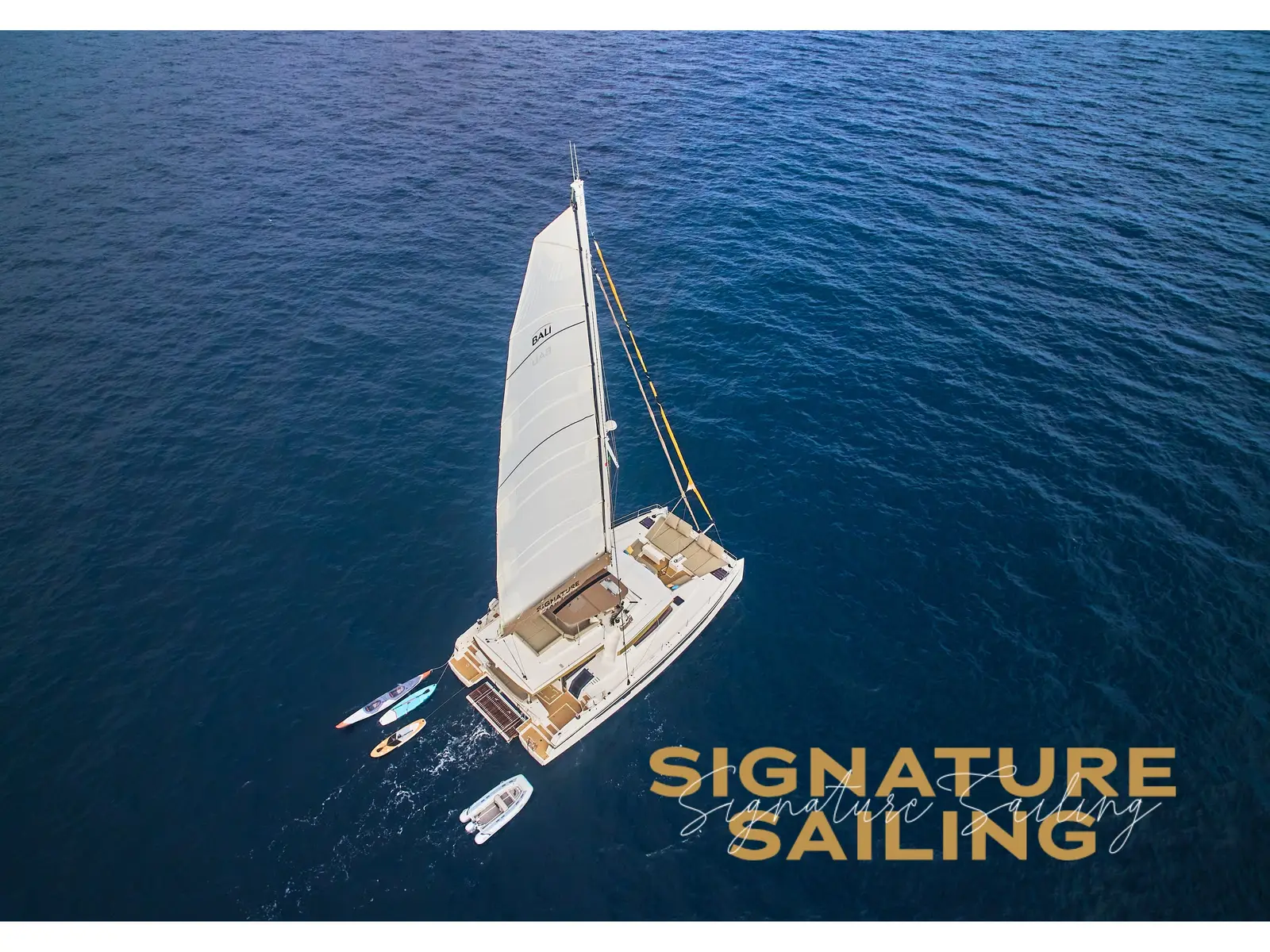 Signature Vision (2022), Main image