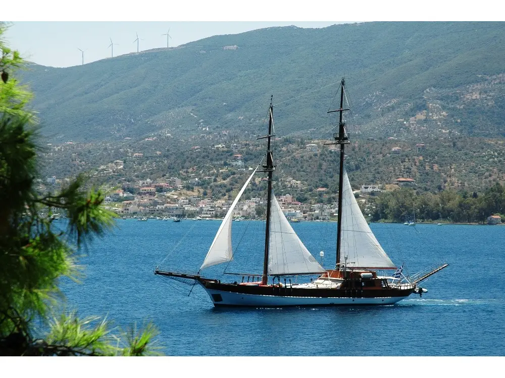 Matina, Main image