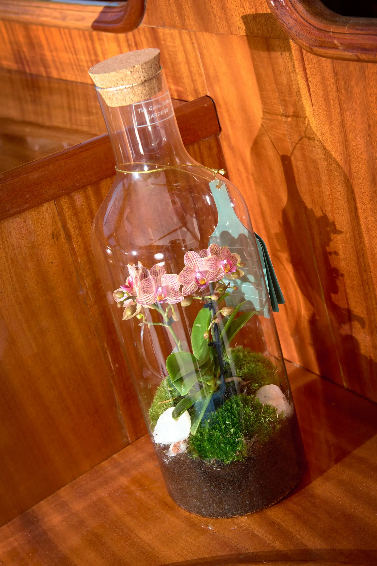 SEA BREEZE, photograph 32