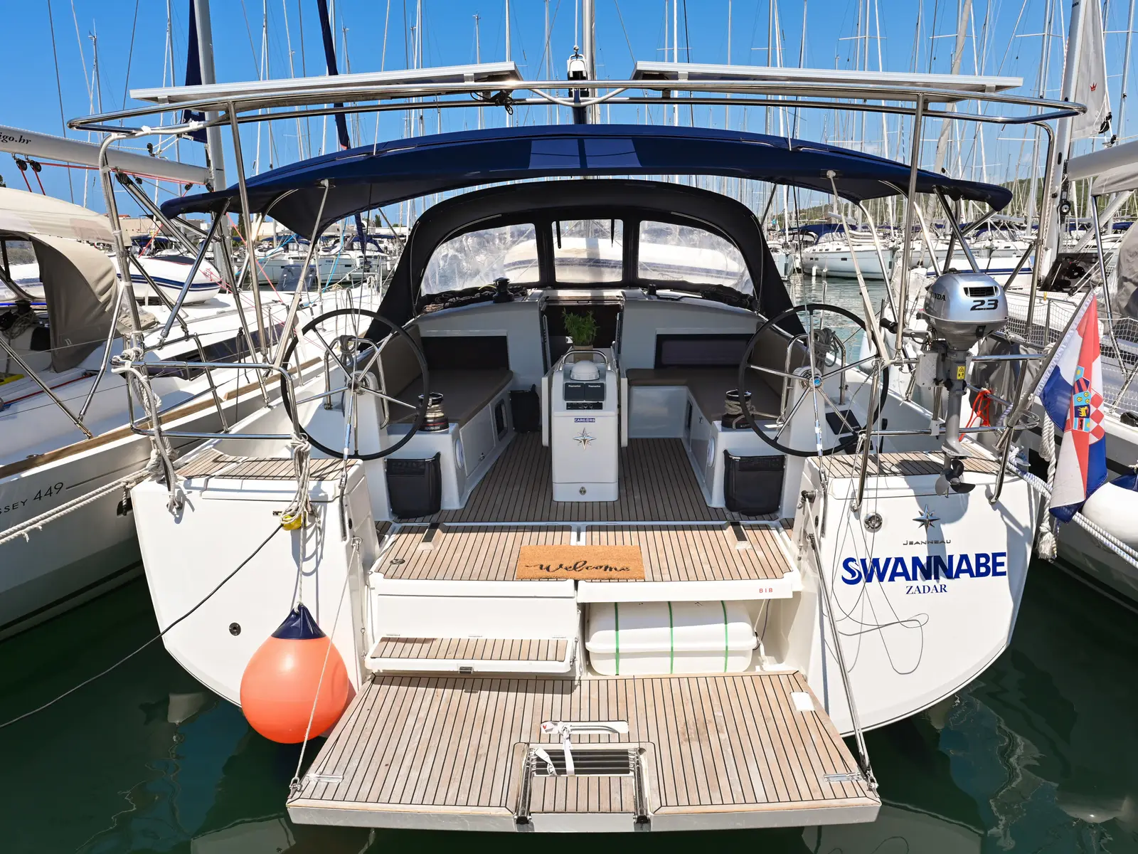 Swannabe, Main image