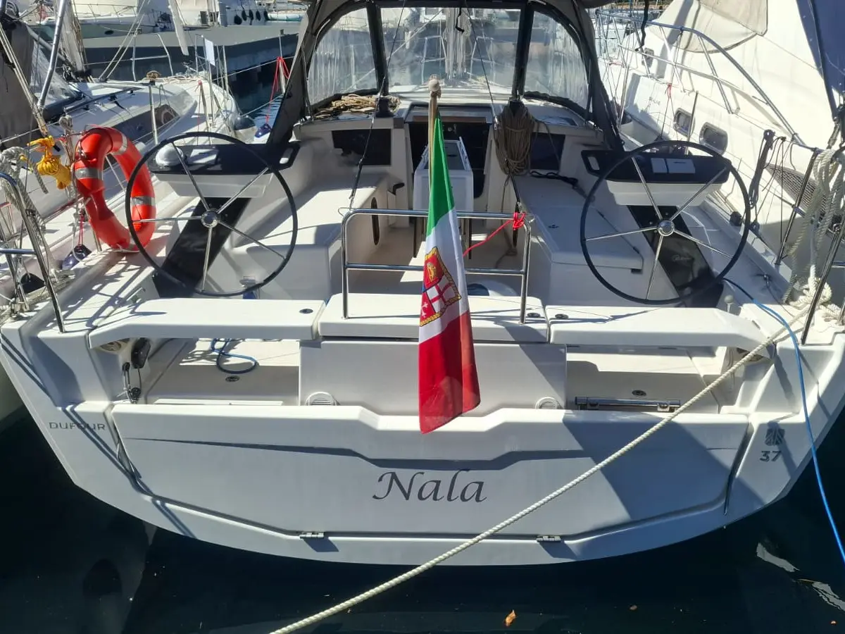 Nala, Main image