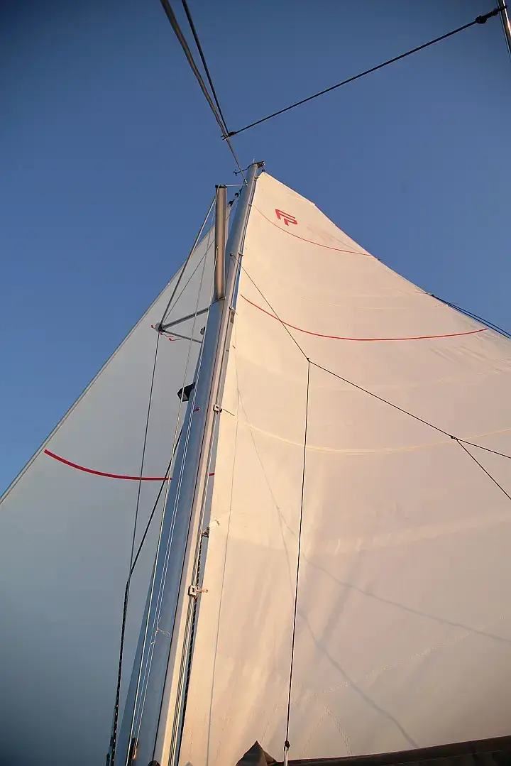 Anasa, foto 17