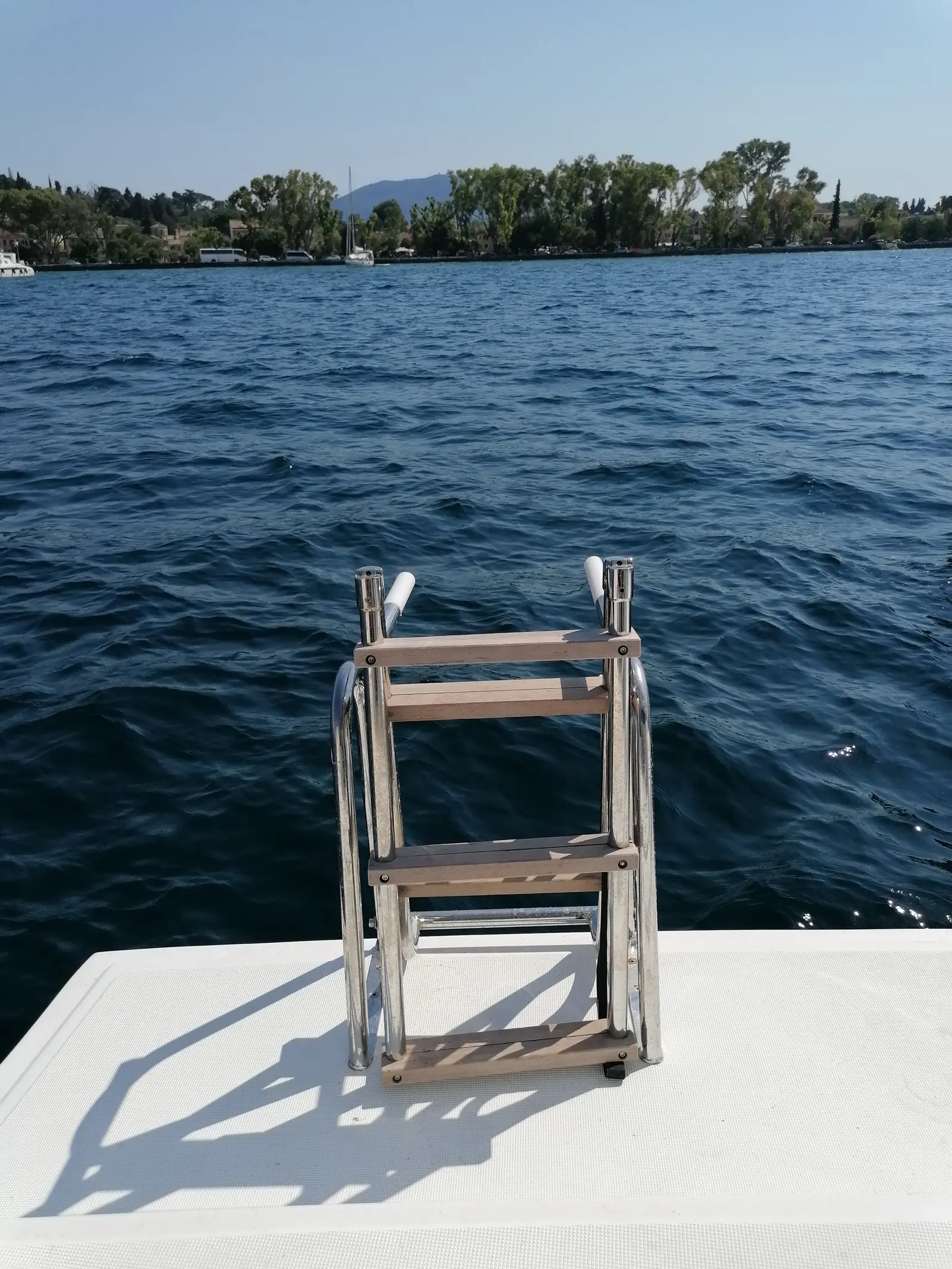 Sunny, photograph 10