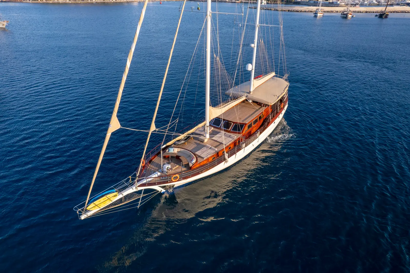 Arabella, photograph 35