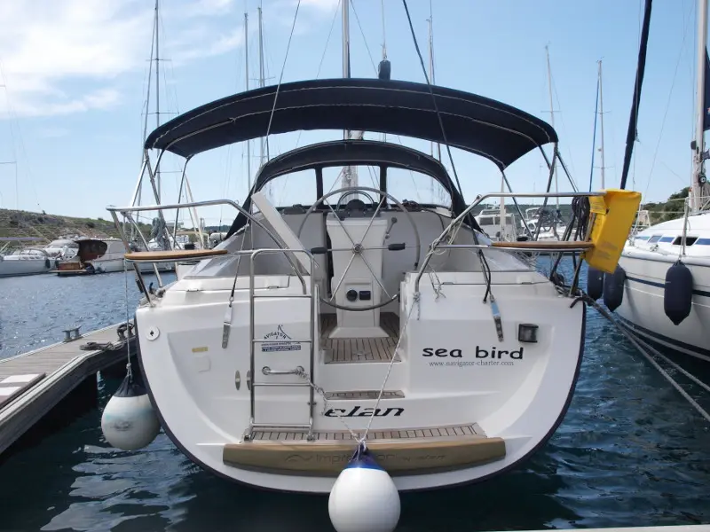 Sea Bird, Main image