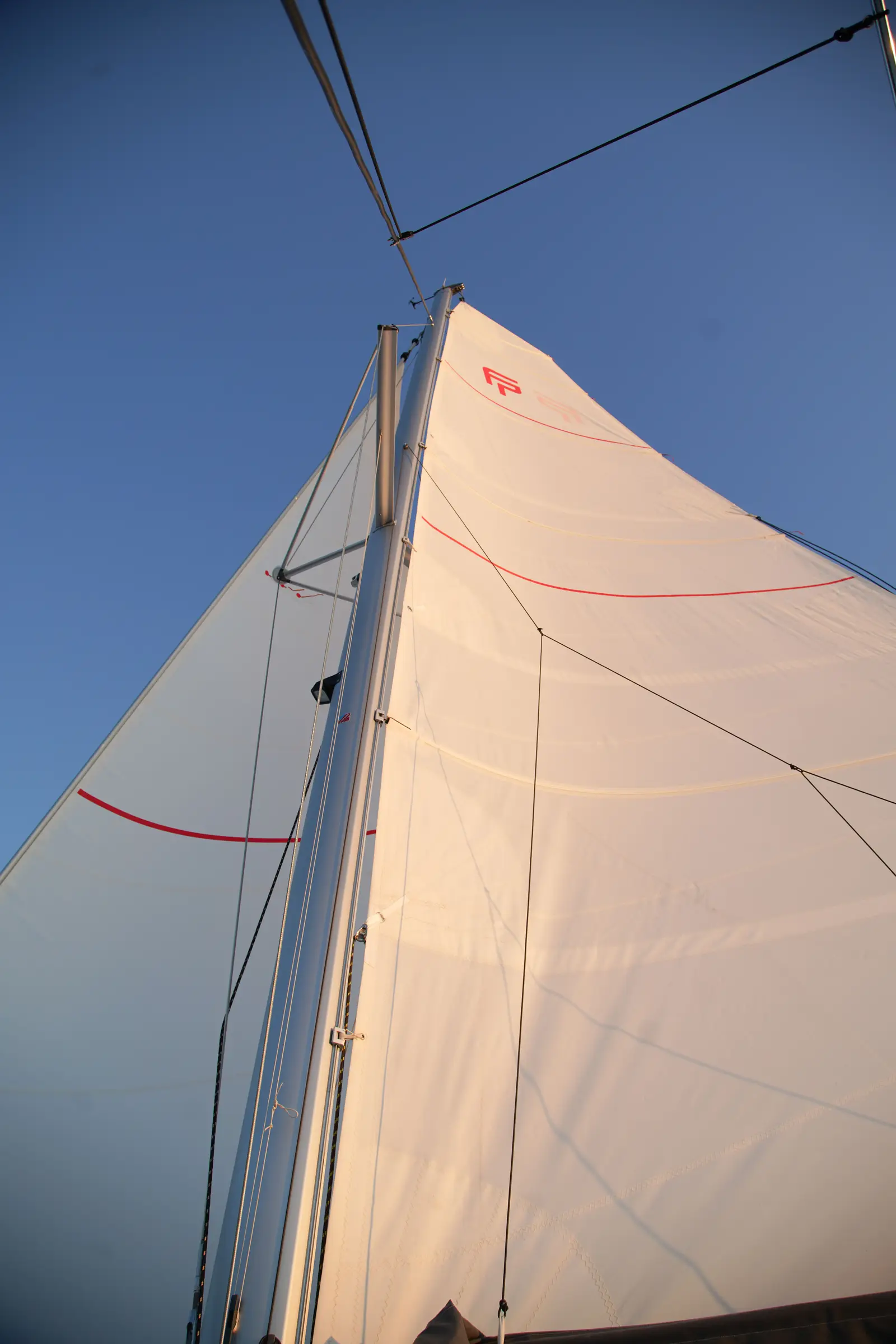 Anasa, photograph 34