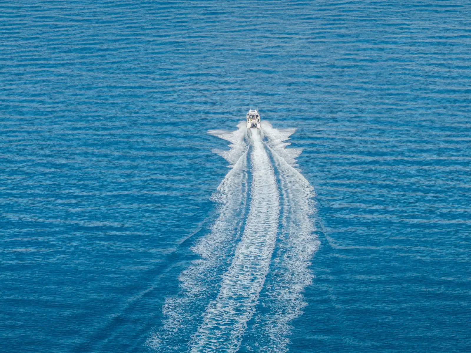 Whisper, photograph 16