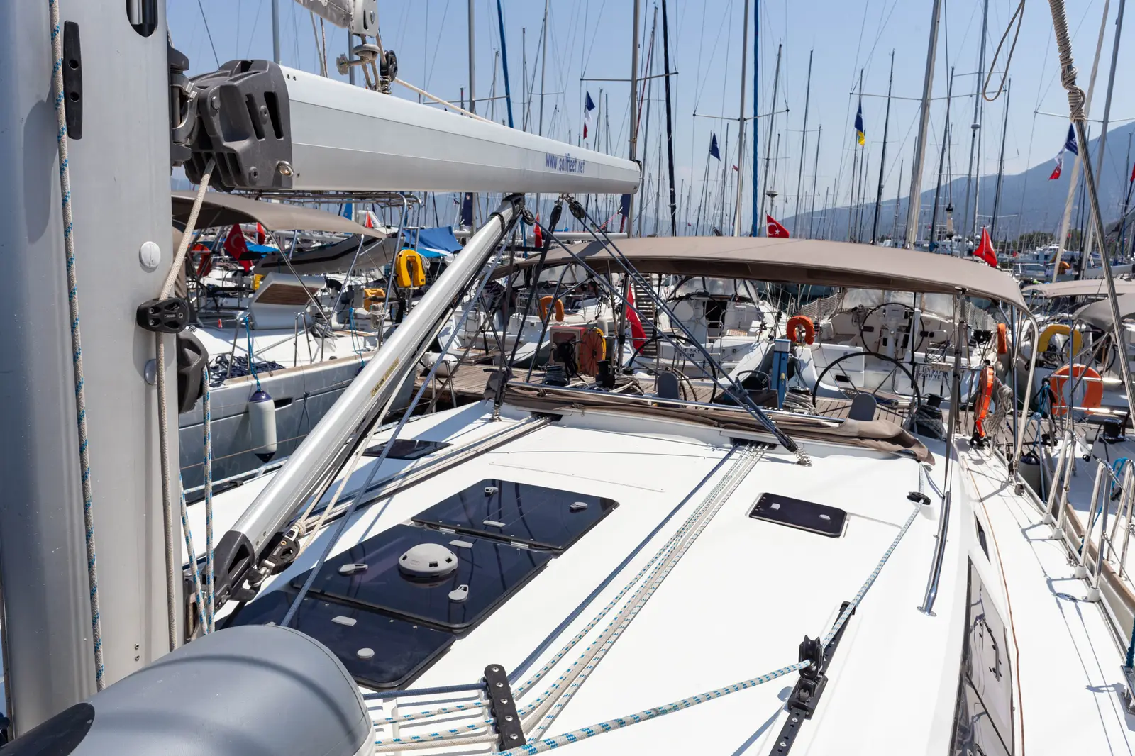 Sail Vega, photograph 6