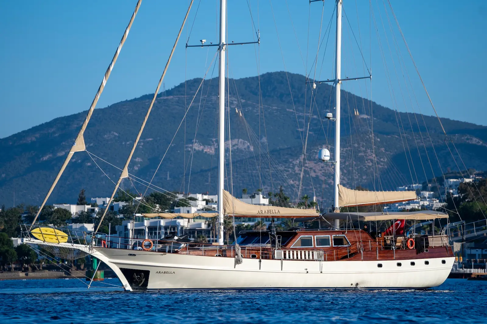 Arabella, photograph 24