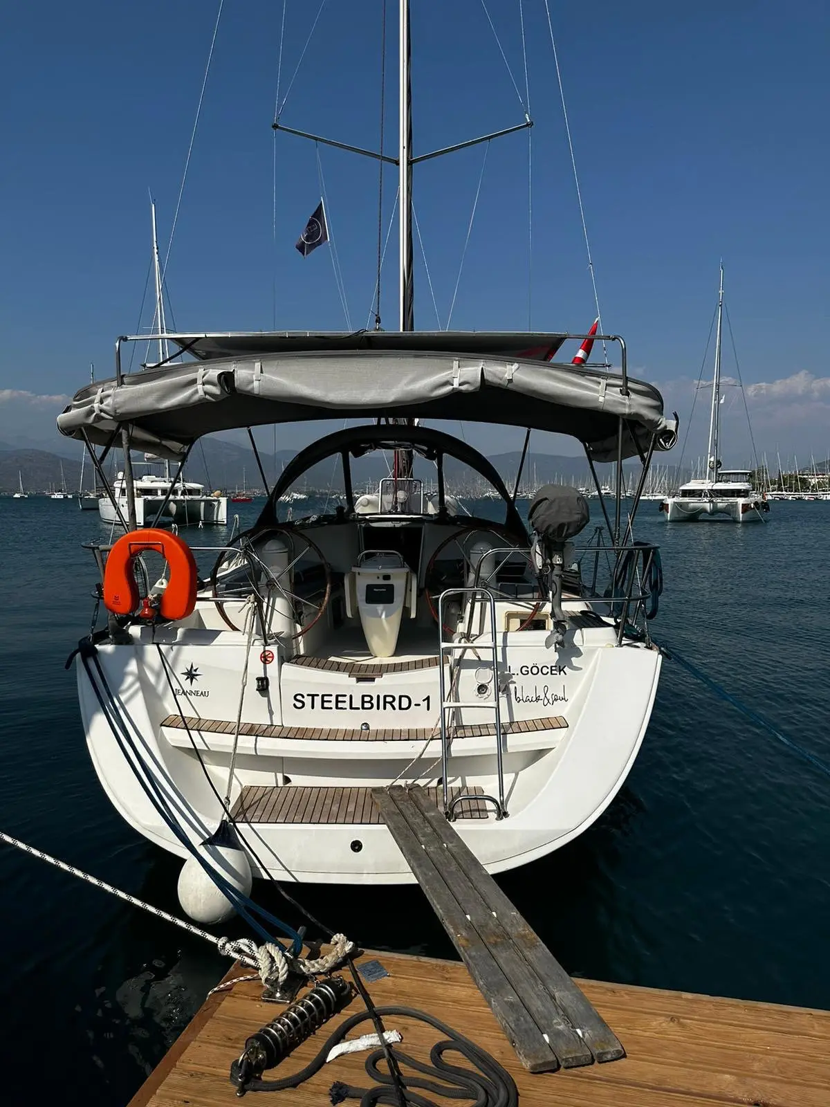 Steelbird I, photograph 38