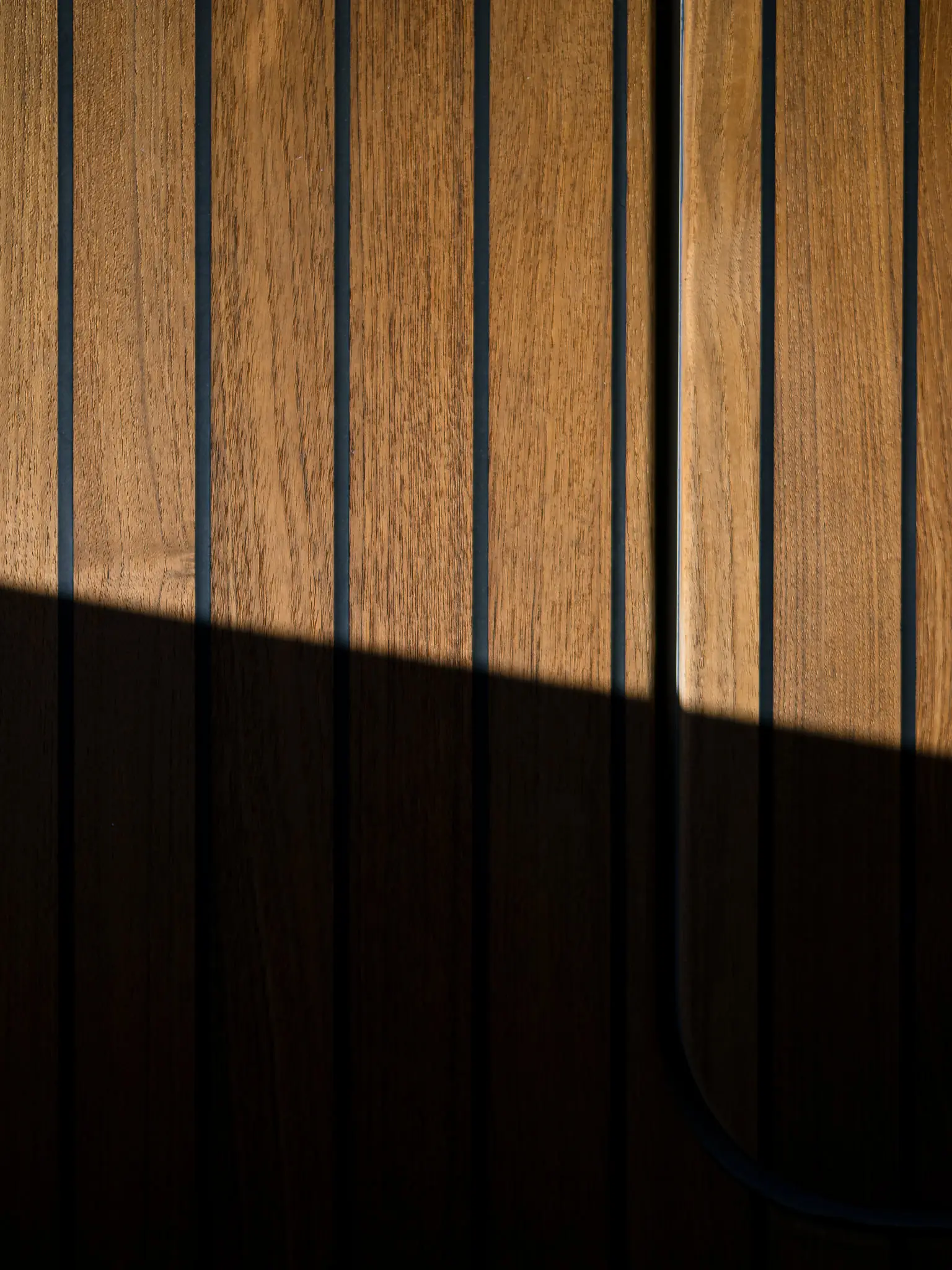 n + 1, photograph 5