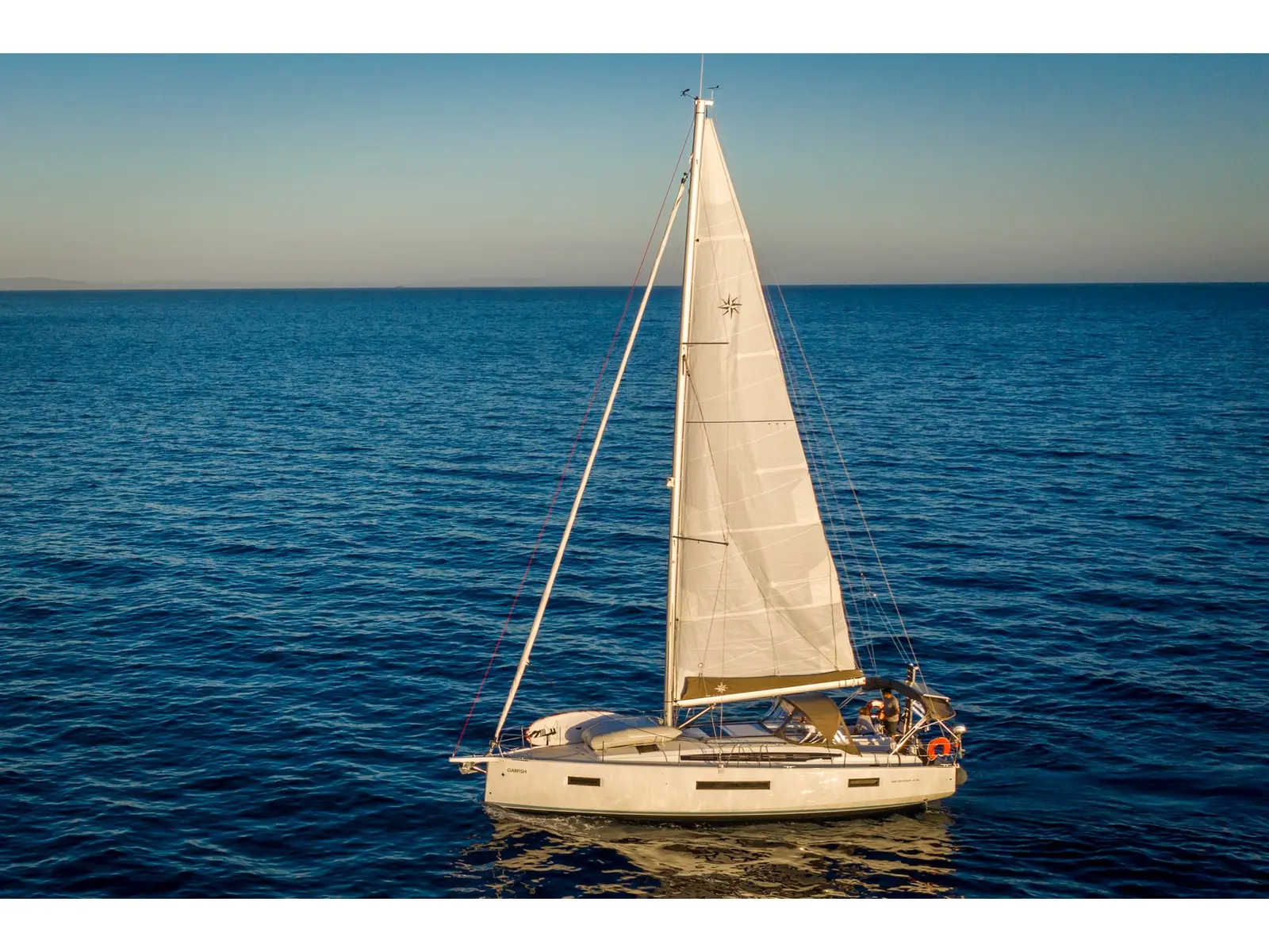 Garfish , Main image