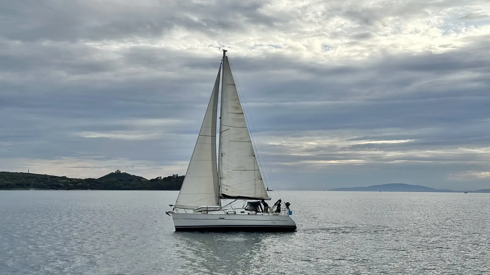 Cassiopea, photograph 10