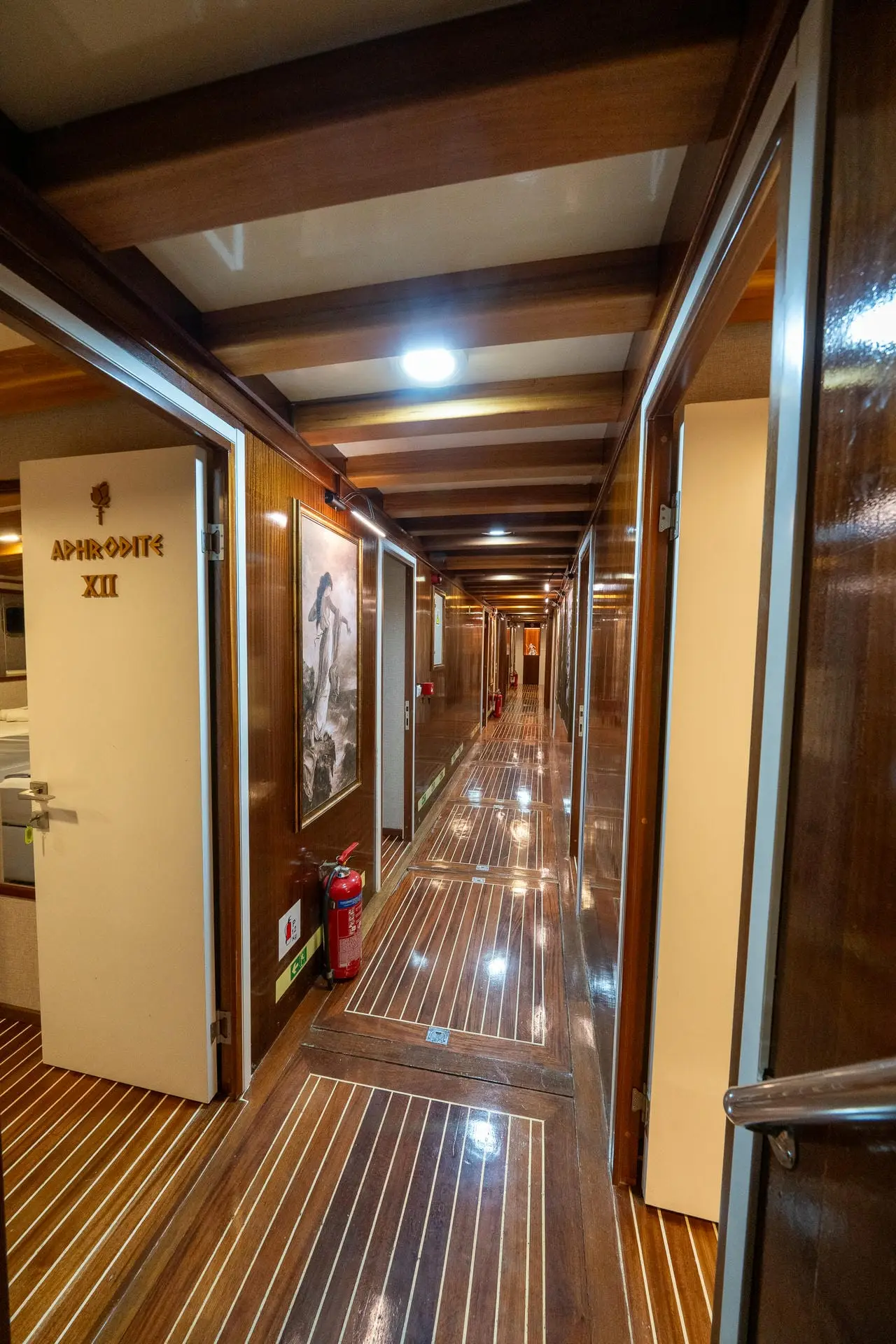 Premium, photograph 138