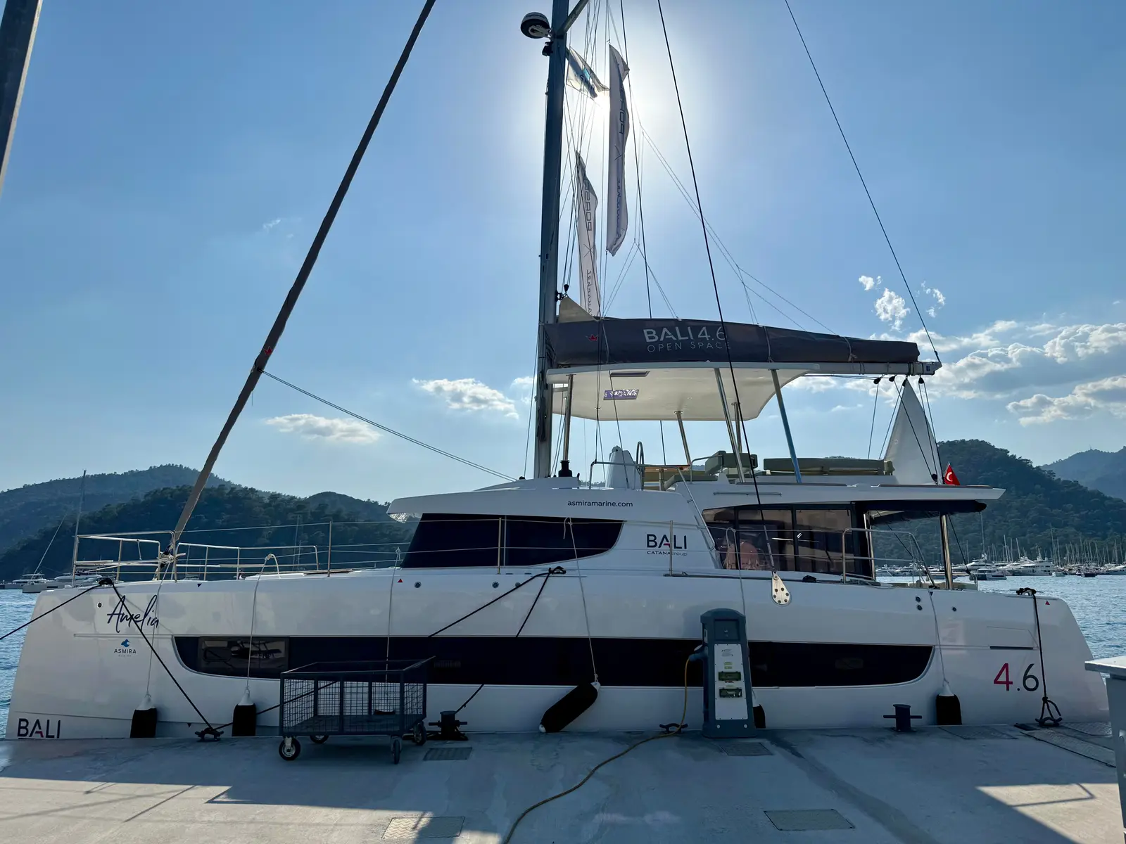 Amelia, Main image