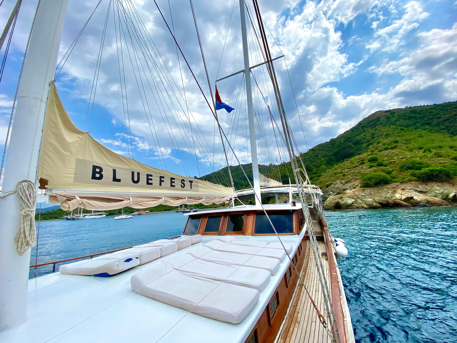 Bluefest, photograph 10