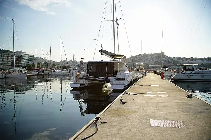 Anasa, foto 4