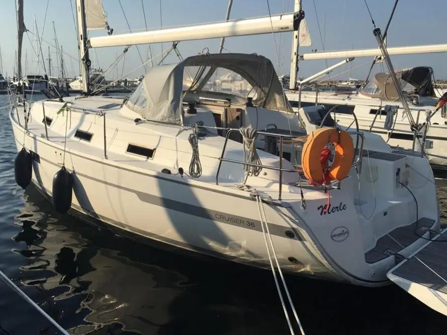Kiwi, Bavaria 36