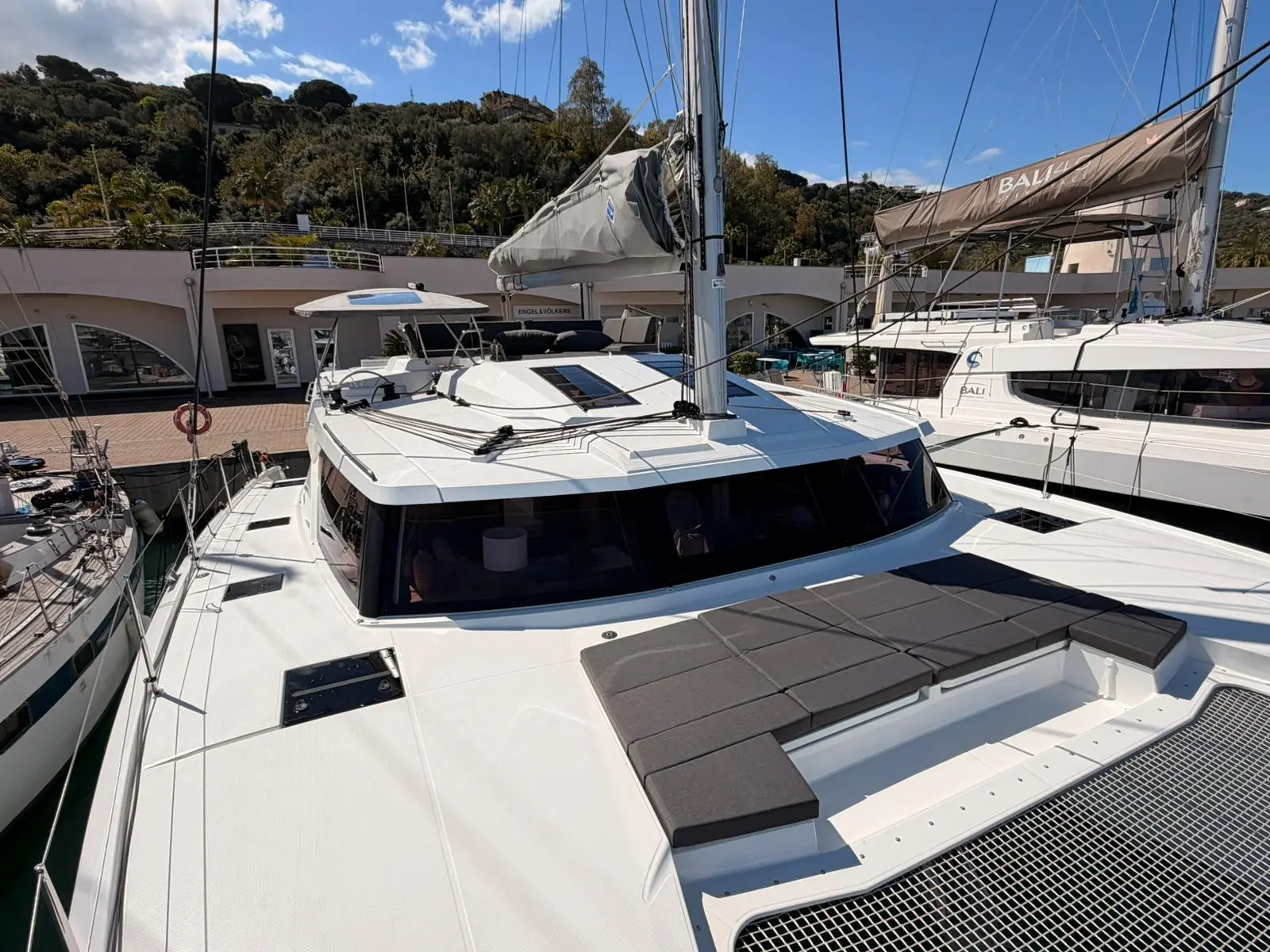 BLU DOLPHIN, photograph 58