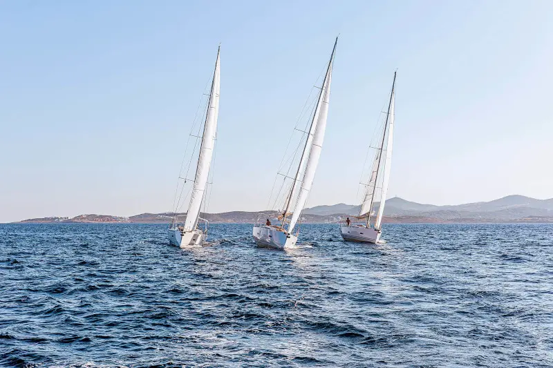 Athena, photograph 22