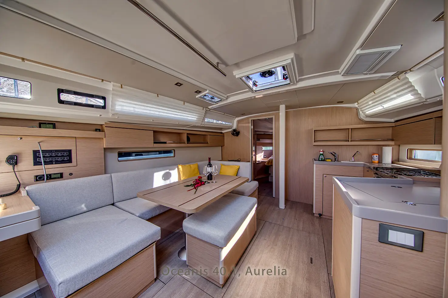 Aurelia, photograph 18