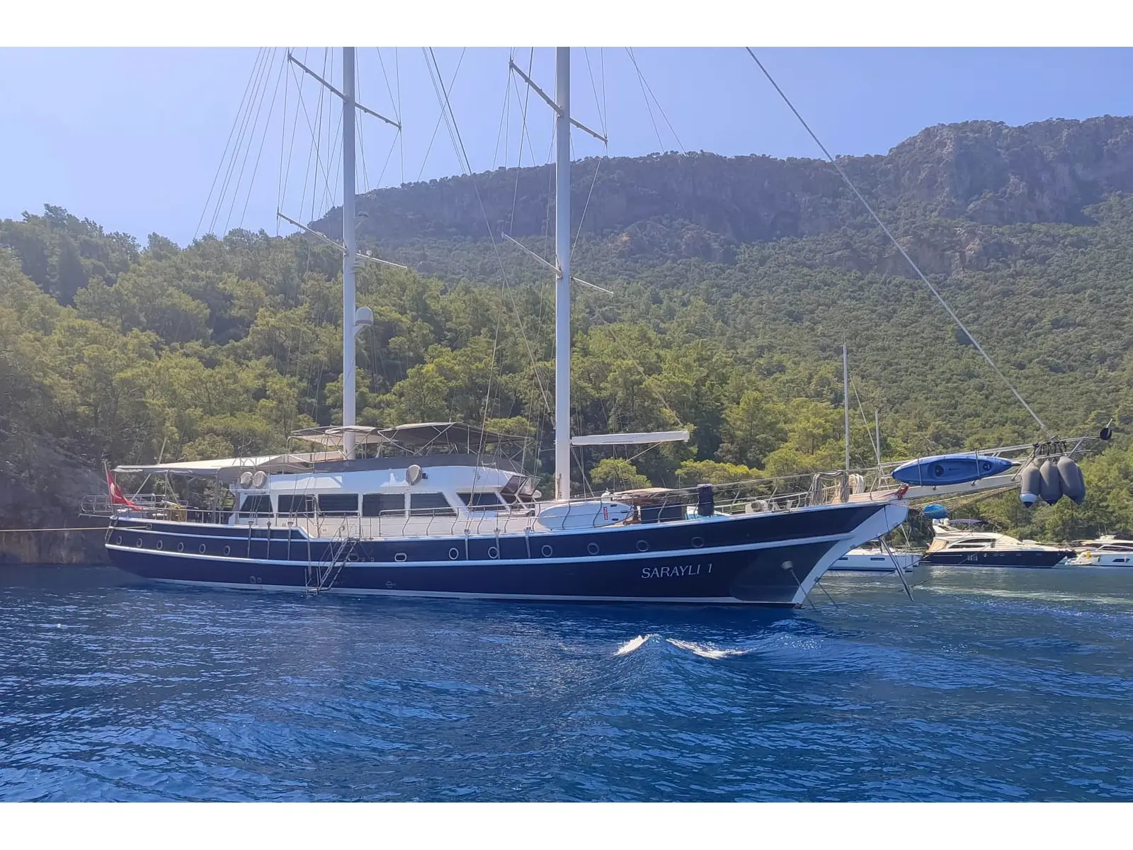 SARAYLI 1, Main image