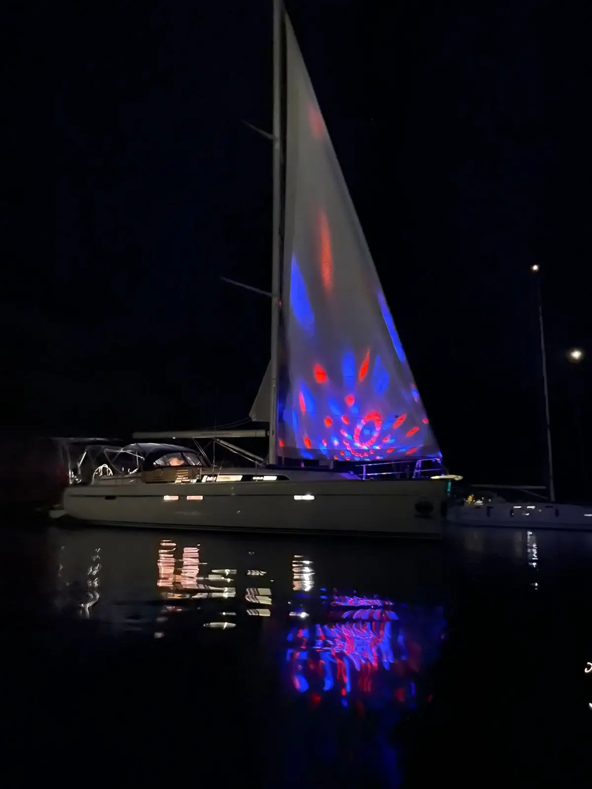 Miber Summerbird, photograph 2