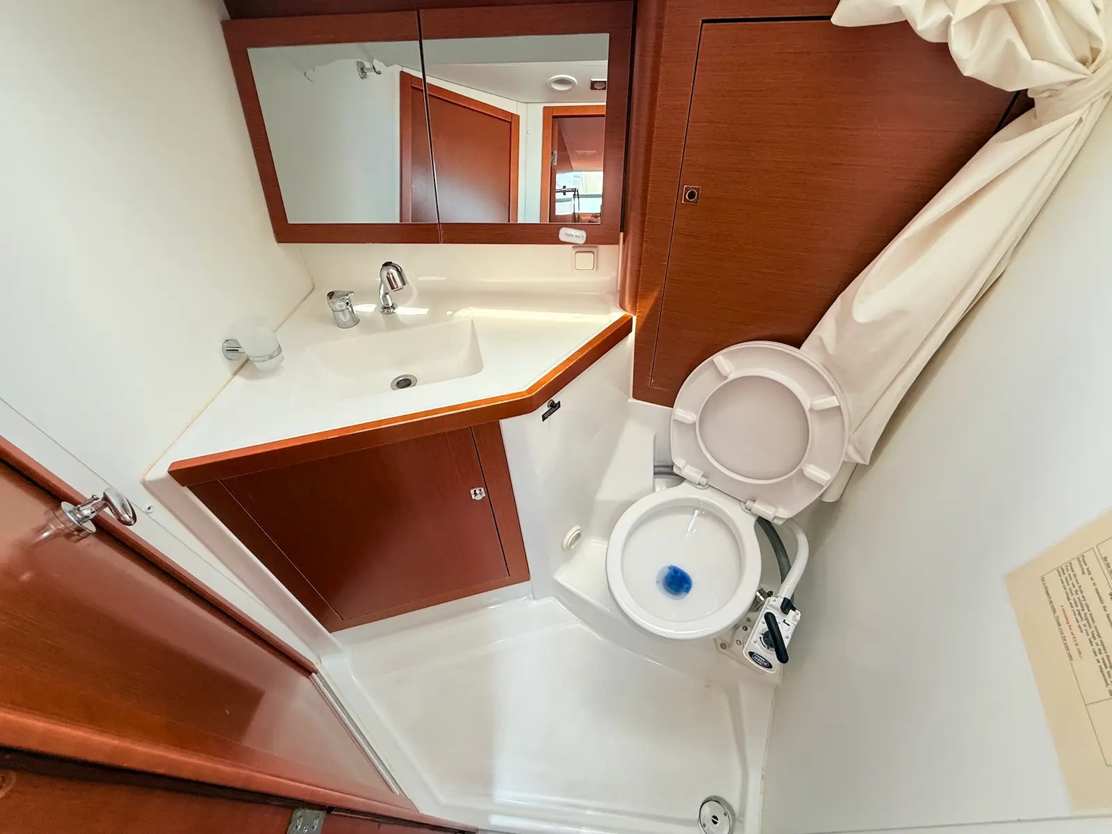 Viki, photograph 26