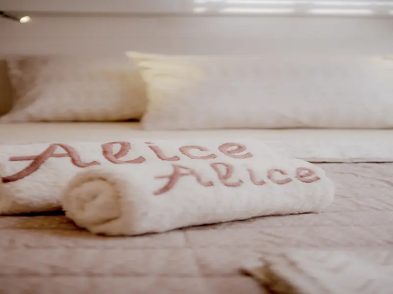 ALICE, photograph 111