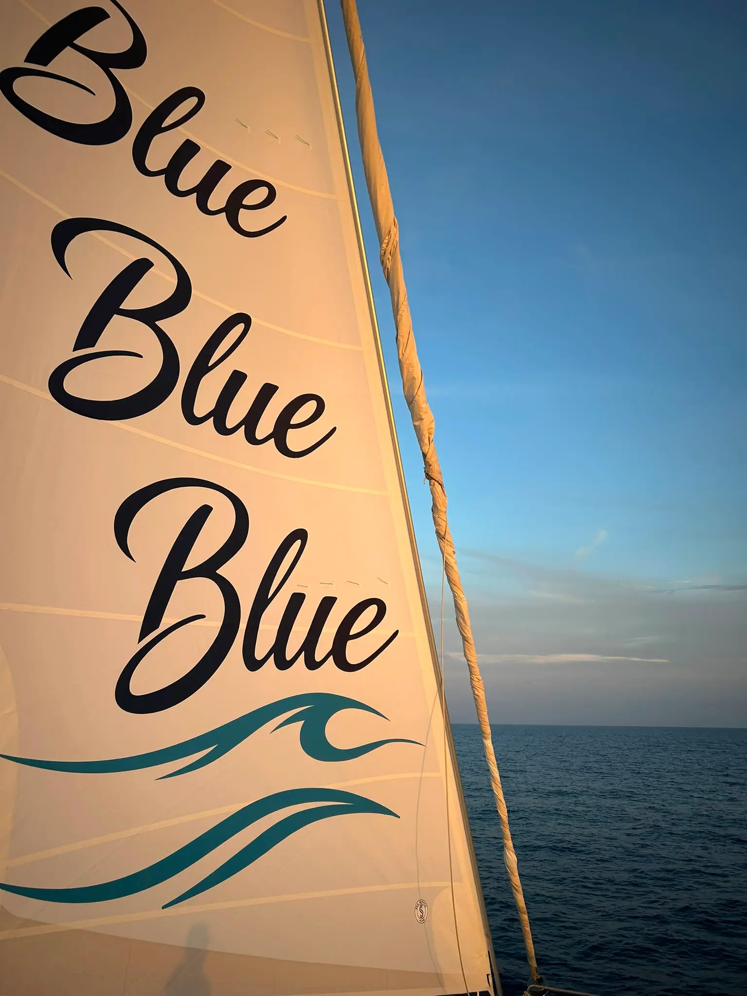 Blue Blue Blue, Foto 17