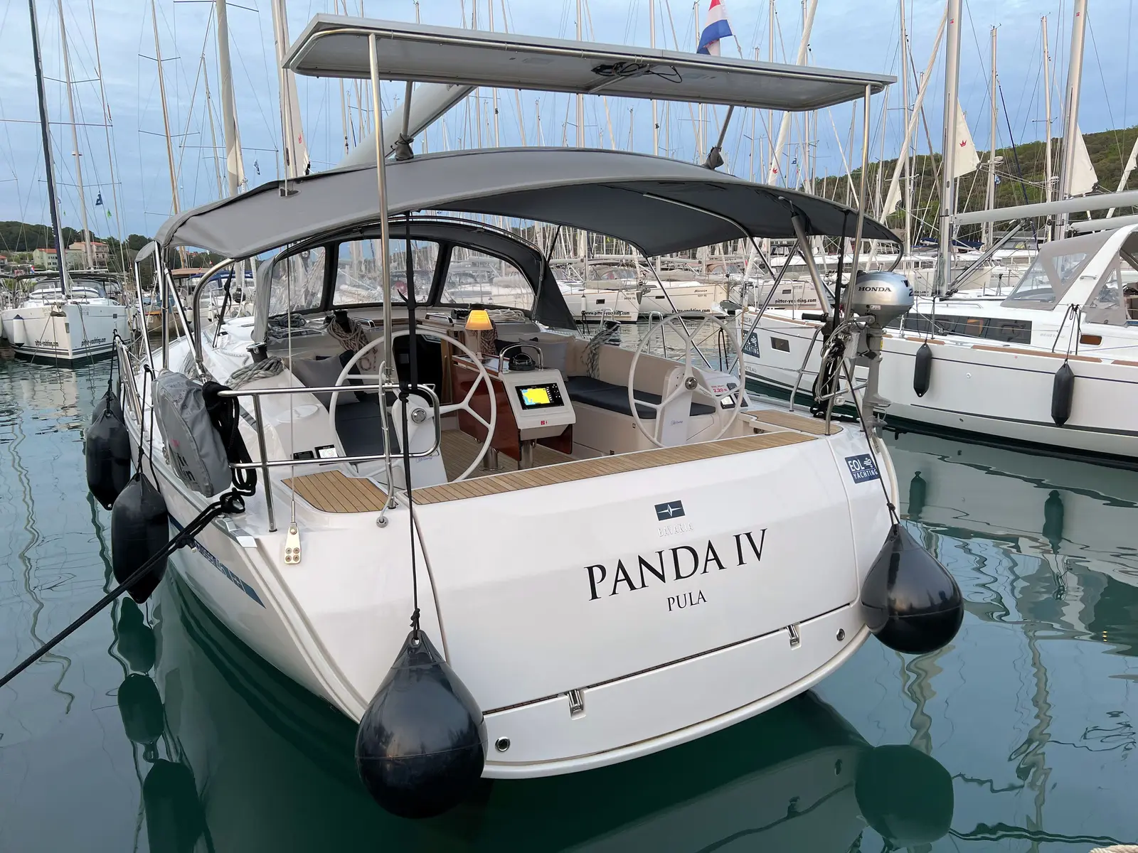 Panda IV, photograph 15